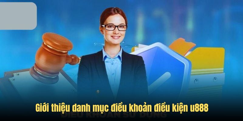 Tổng quan những ý chính trong danh mục điều khoản điều kiện u888